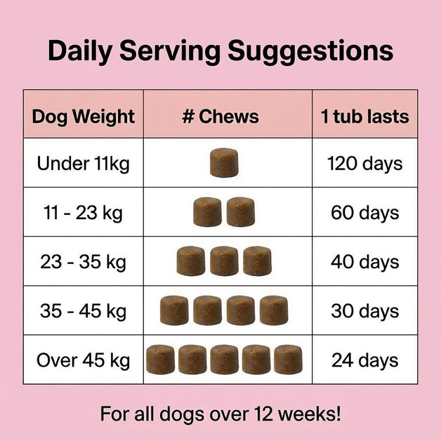 Paw Comfort Chews