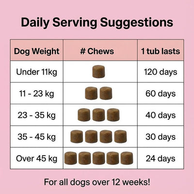 Paw Comfort Chews
