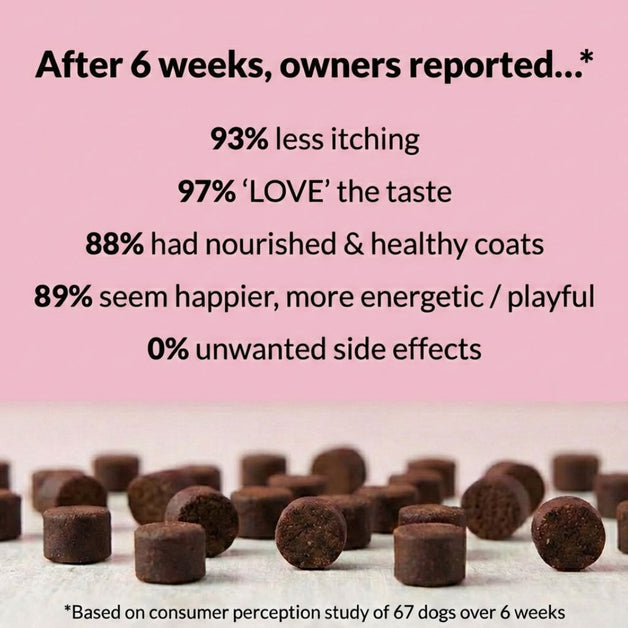 Paw Comfort Chews