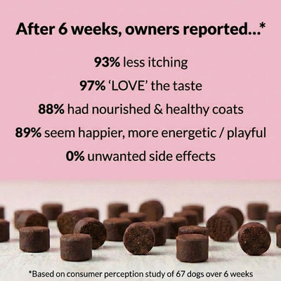 Paw Comfort Chews