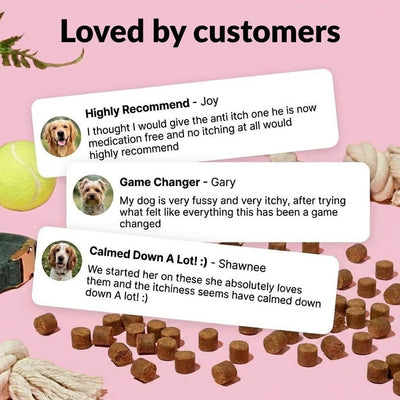 Paw Comfort Chews